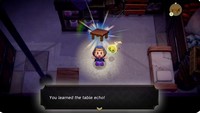 The Legend of Zelda Echoes of Wisdom