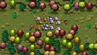 Cattle Country