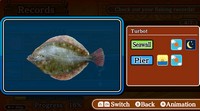 Reel It Ocean Fishing
