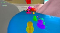 Rubber Duck Race Simulator