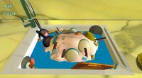Rubber Duck Race Simulator