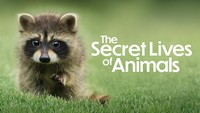 The Secret Lives of Animals Season 1